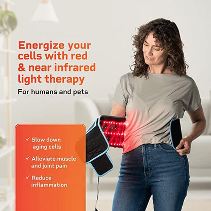 LED Physical Therapy Belt
