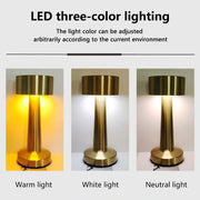 LED Table Light Metal Touch Desktop Decorative Lamp
