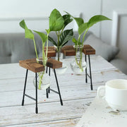 Creative hydroponic garden in a wooden frame