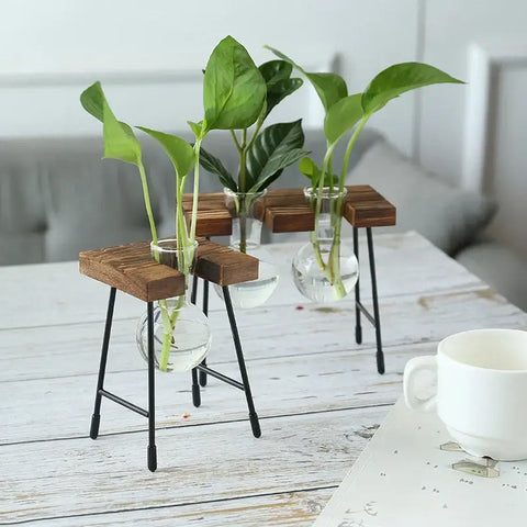 Creative hydroponic garden in a wooden frame