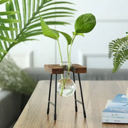 Creative hydroponic garden in a wooden frame