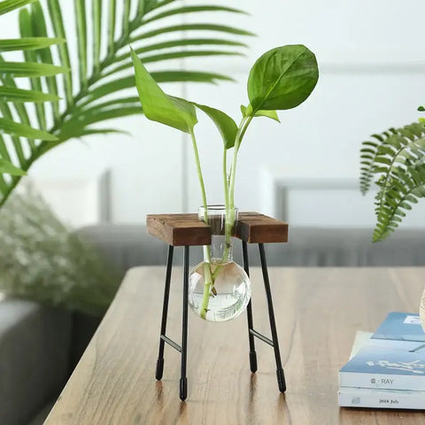 Creative hydroponic garden in a wooden frame