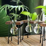 Creative hydroponic garden in a wooden frame