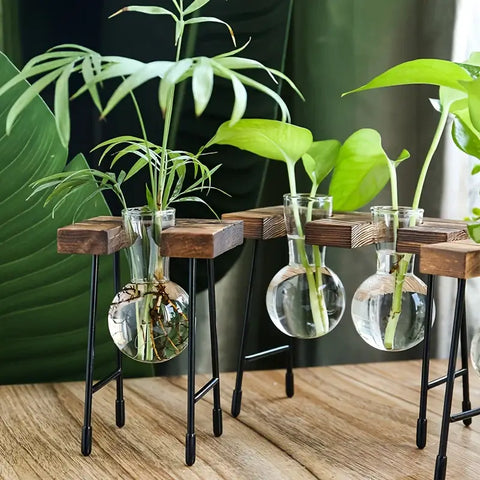 Creative hydroponic garden in a wooden frame