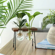 Creative hydroponic garden in a wooden frame