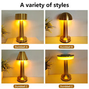 LED Table Light Metal Touch Desktop Decorative Lamp