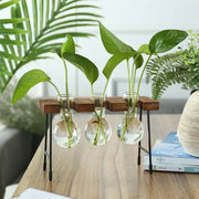 Creative hydroponic garden in a wooden frame