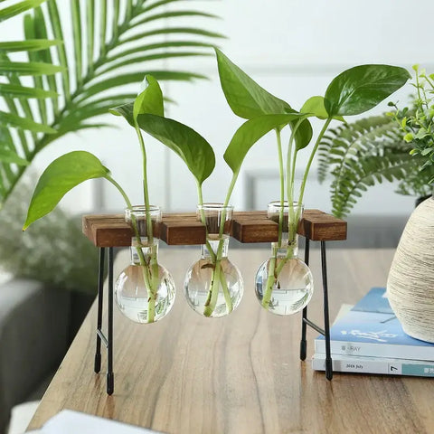 Creative hydroponic garden in a wooden frame