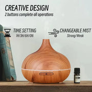 Portable essential oil diffuser and air humidifier