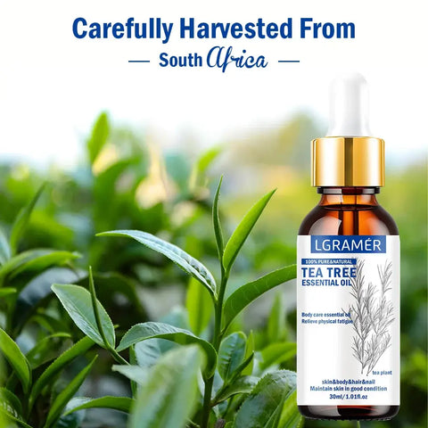 Essential Tea Tree oil bottle for massage, relaxation, and care