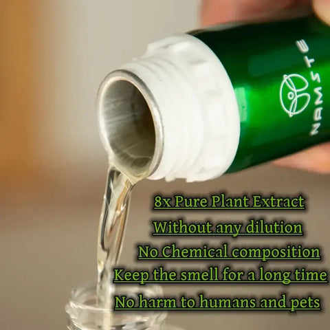Portable NAMSTE essential oil diffuser machine