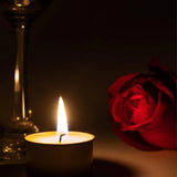 White Unscented Tea Light Candles