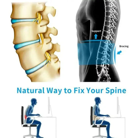 Adjustable waist fixed belt for posture correction
