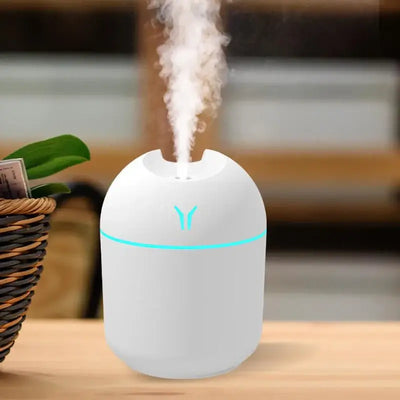 Portable USB-powered 250ML mini air humidifier for home and office
