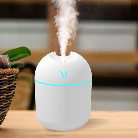 Portable USB-powered 250ML mini air humidifier for home and office