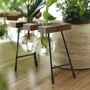 Creative hydroponic garden in a wooden frame