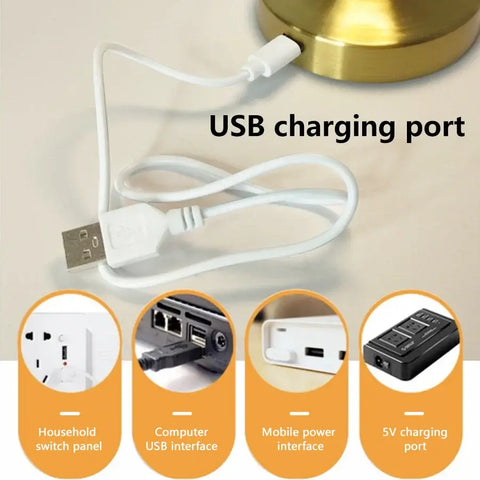 LED Table Light Metal Touch Desktop Decorative Lamp