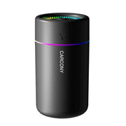 Large mist output humidifier for home use