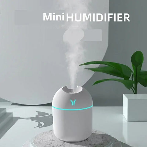 Portable USB-powered 250ML mini air humidifier for home and office